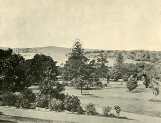 Botanická zahrada v Sydney, 1901.
