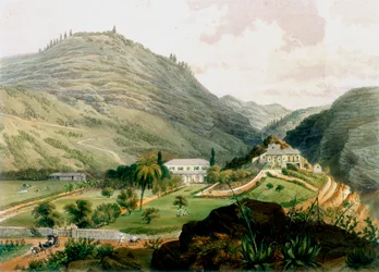 The Briars, Svatá Helena, počátek 19. století 1851