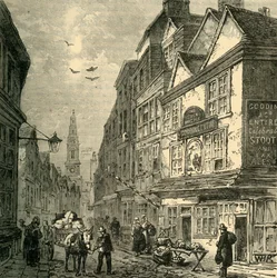 Kohout a straka, Drury Lane, 1881.