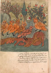 Vraní špión mluví s králem sov a jeho ministry, Folio from a Kalila..., 18. století.