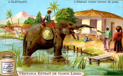 Slon jako pošťák, c1900