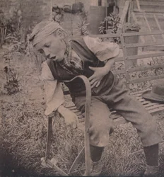 První doutník: Výsledek, 1910