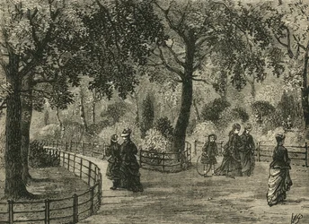 Květinové procházky, Kensington Gardens, c1876.
