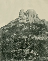 The Hump, Buffalo Mountains, 1901.