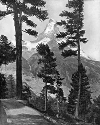 Matterhorn při pohledu z Riffelovy stezky, Alpy, 20. století