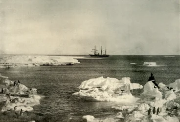 Nimrod ležící mimo hnízdiště tučňáků, c1908, 1909.