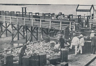 Pearl Fishing Industry - Packing Shell, 1923.