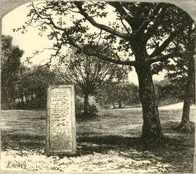 Rufusův kámen v New Forest, 1890.