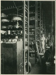 The Shelves of Edisons Laboratory se vzorky každé známé látky, 1902.