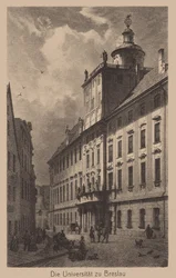 Univerzita v Breslau