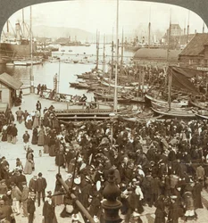 Přístav, N.W. z tržiště v Bergenu, největší rybí trh v Norsku, c1905.