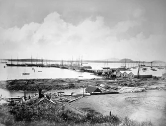 Přístav, Auckland, Nový Zéland, c1870-1880