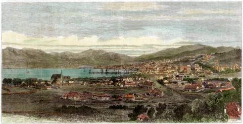 Město a přístav Wellington, hlavní město Nového Zélandu, c1880