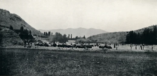 Mlácení kukuřice starověkým způsobem, 1911