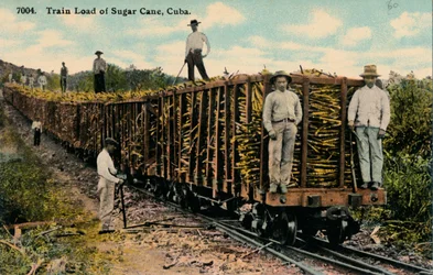 Vlak nákladu cukrové třtiny opouští pole, Kuba, 1915
