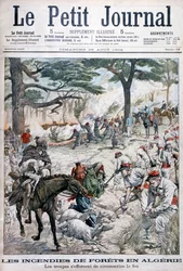 Vojska se snaží zastavit lesní požár, Alžírsko, 1904