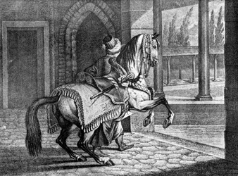 Arabský sedlový kůň Turkish Sultans, 1722, 1938