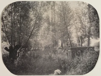 Bez názvu Krajina se psem, c. 1910.