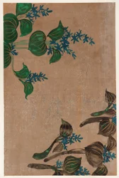 Vodní rostliny s modrými květy, období Edo, 1615-1868.