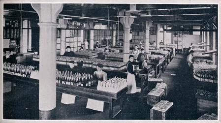 Místo, kde se vyrábí slavný Yorkshire Relish, 1906