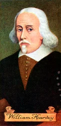 William Harvey, převzato ze série cigaretových karet, 1935