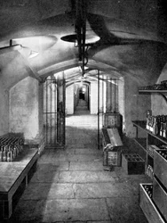 Vinné sklepy Dolní sněmovny, Westminster, c1905