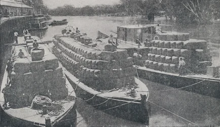 Vlněné čluny na řece Murray, 1923.