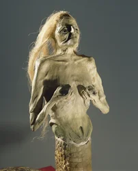 Tvor napůl žena, napůl had, potomek Meluzíny, 1900