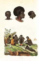 Australští domorodci a hlavy domorodců z Waigeo, Západní Papua1834-1839 (rytina)