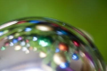 Cetka (fotografie)