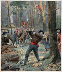 Bucherons. Dřevorubci.
