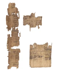Sbírka fragmentů řeckých a koptských papyrů, 2. až 4. století
