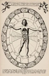 Korespondence mezi mikrokosmem a makrokosmem. Deska převzata z knihy "Mundus subterraneus" od Athanase Kirchera (1601-1680).
