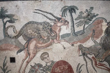 Detail mozaiky velkého lovu. Leopard útočící na gazelu. 3. - 4. století. Římská vila Casale, Sicílie. památka UNESCO.