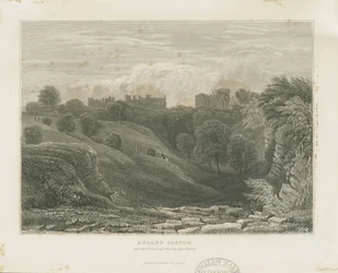 Dudley Castle: ocelorytina a [19. století]