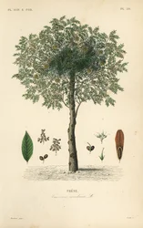 Závěsný