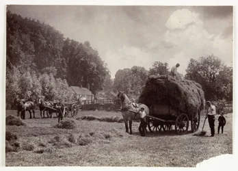 Zemědělské scény, sklizeň a skladování, senoseč před rokem 1900, c 1890