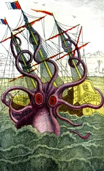 Obří chobotnice