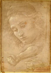 Hlava mládeže, kresba ze stránky „Libro dei Disegni“ od Giorgia Vasariho