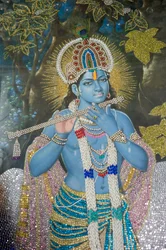 Hinduismus; obraz Pána Krišny s flétnou; chrám Durgiana Mandir Višnu; Amritsar; Paňdžáb; Indie; Jížní Asie; Asie