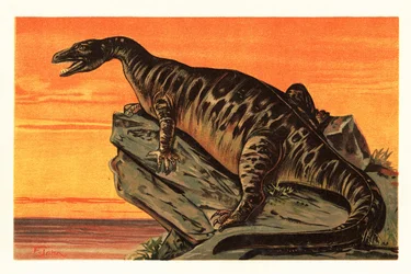 Iguanodon bernissartensis, vyhynulý druh Iguanodontian dino1908 (litografie)