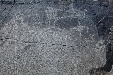 Indiánské petroglyfy - Zvířecí a symbolická vyobrazení - Národní památník Petroglyph - Albuquerque, Nové Mexiko, USA (USA)