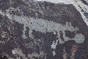 Indiánské petroglyfy zobrazující zvířata - Národní památník Petroglyph - Albuquerque, Nové Mexiko, USA (USA)