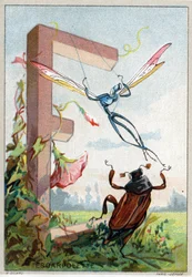 Písmeno E jako Escarpolette. Umělecká abeceda pana Mariniera. Editoval Henry Sicard, konec 19. století. Reklamní chromolitografy na produkty prodávané v lékárnách. Rozměr: 12,5 x 9 cm