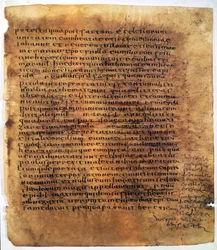 Rukopisný svitek: palimpsest.