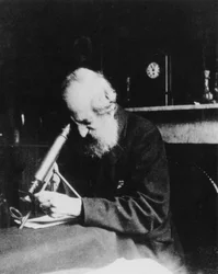 Mordecai Cubitt Cooke, anglický spisovatel a ilustrátor, c 1900