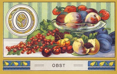 O : Obst - Abeceda Palmin. Serie de chromolithographies editees par H. Schlinck & Cie, Hamburg, s. d. . Propagujte Palmin feinstes Cocosfett. Rozměry: 7 x 11 cm