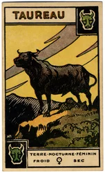 Paranormální. Astrologie. Býk (býk). Astrologická karta od: Le Tarot Astrologique (Astrologický tarot), Georges Muchery, Francie