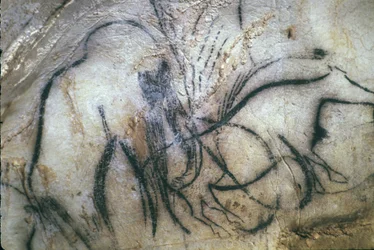 Prehistorická jeskyně Pech Merle/kaple mamutů/25 000 let/Cabrerets/Lot/Midi Pyrenees/Francie