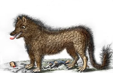 Vyobrazení bete of Gevaudan, kosti jeho obětí rozházené kolem nohou Rytina kolem roku 1764 (Gevaudanská bestie na vyobrazení z roku 1764) Soukromá sbírka
